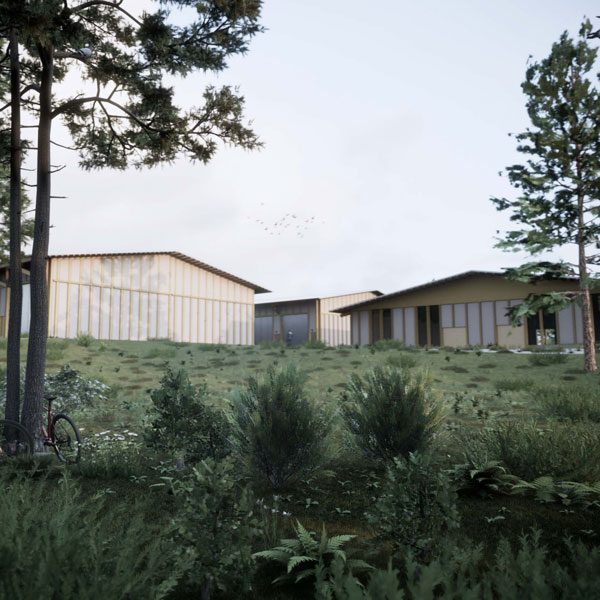 LSA_Lammenes_00_600x600